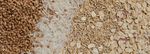 Grains
