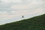 person jumping in the air above a grassy hillside