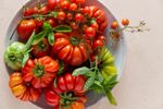 Bowl of different types of tomatoes