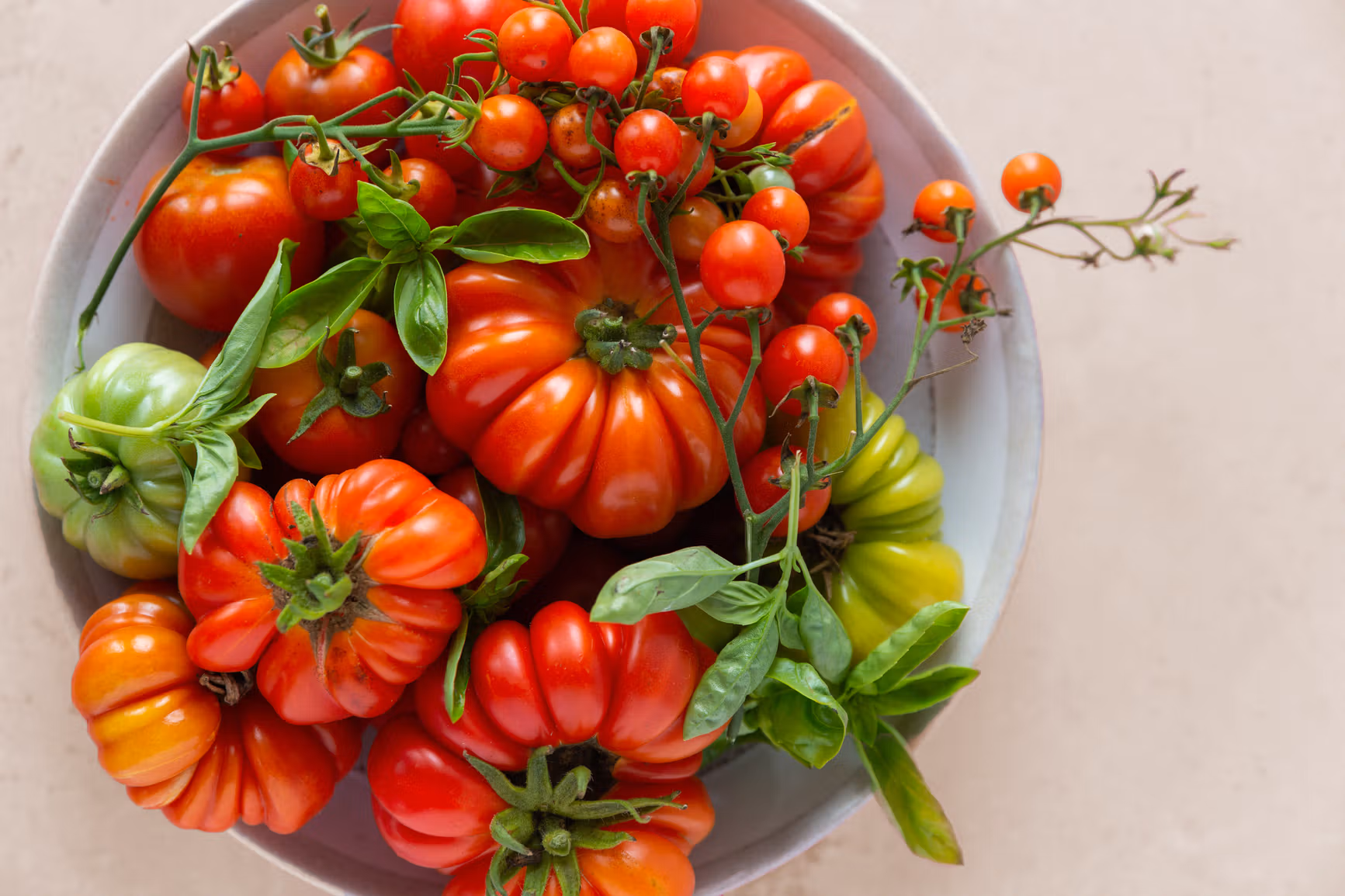 Bowl of different types of tomatoes