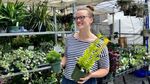 Laura Allen with plants at local farmers market 