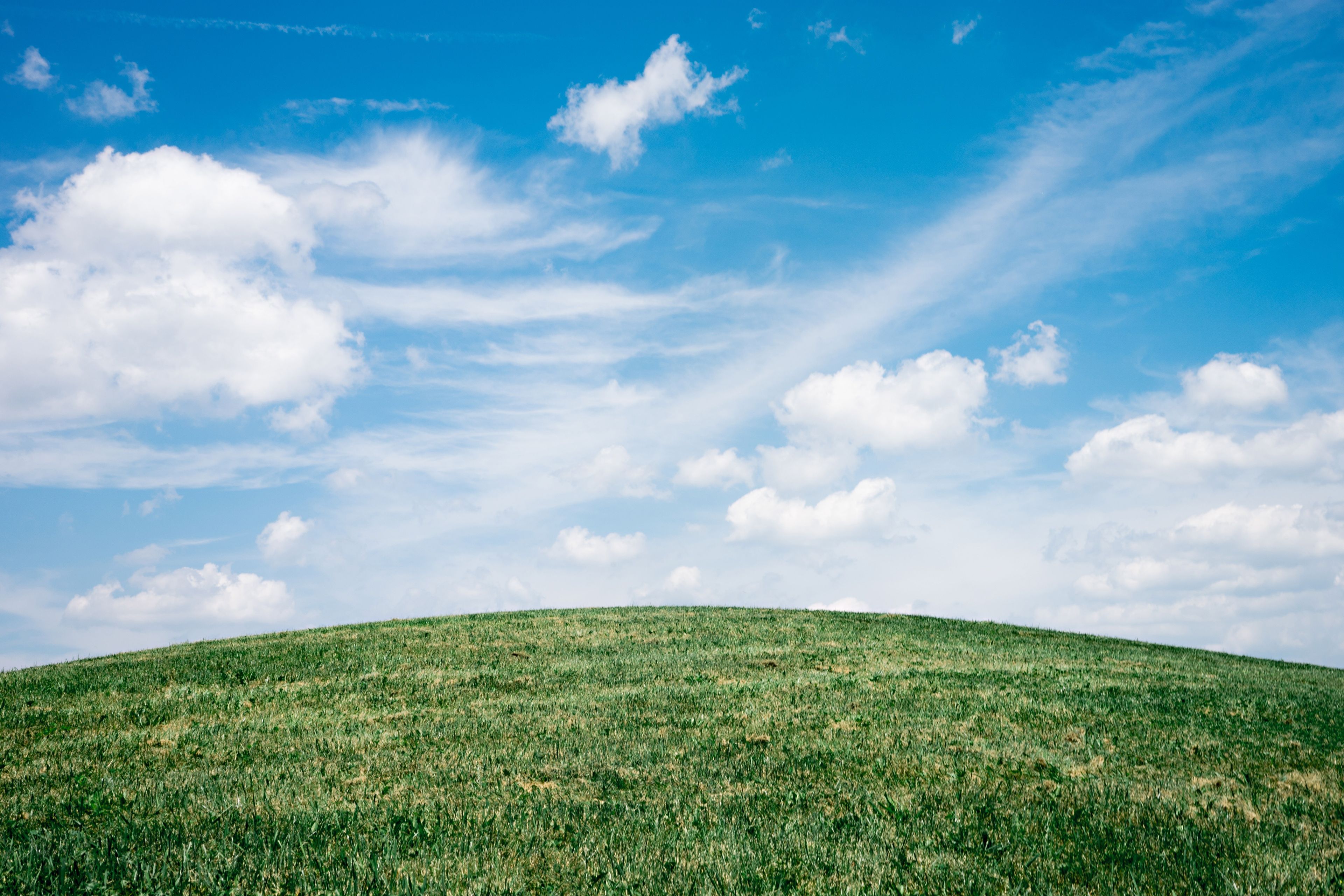 green gras under blue sky