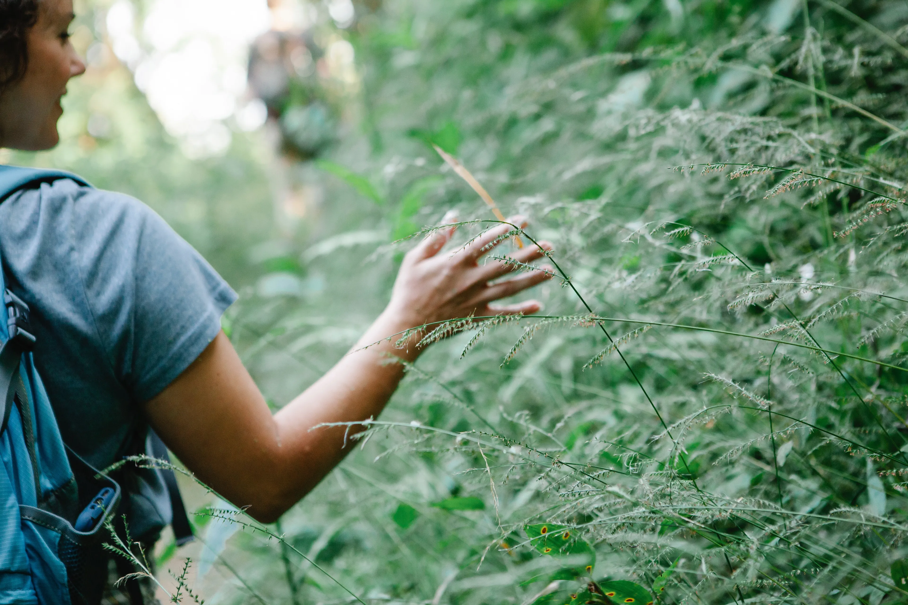 woman brushing hand against plant