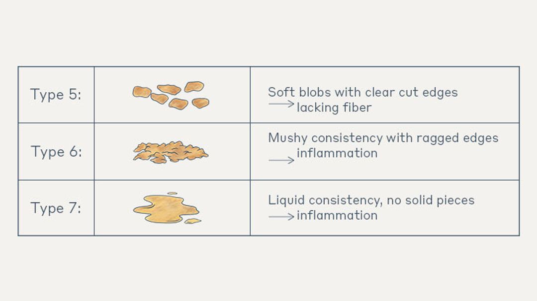 Decoding Your Digestion | THE WELL