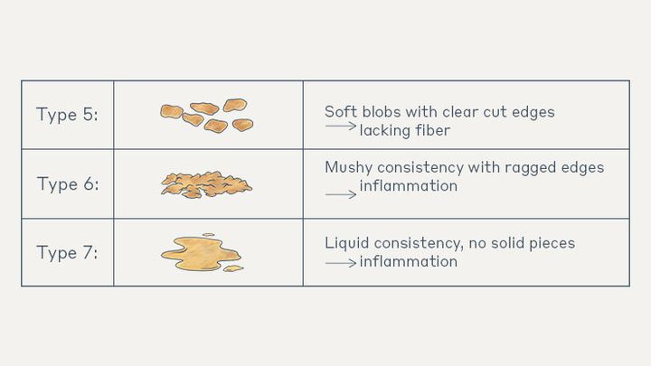 Decoding Your Digestion | THE WELL