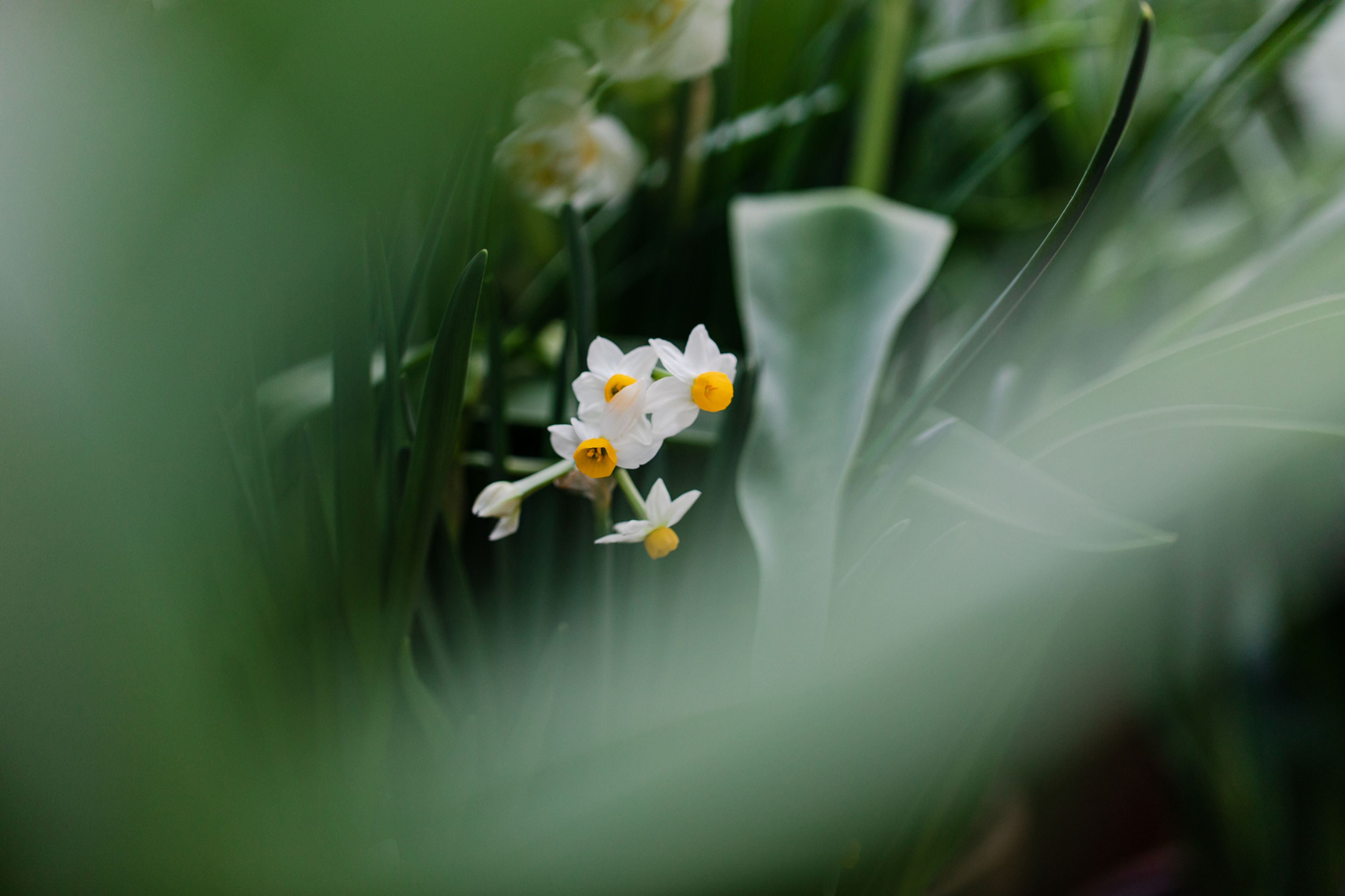 Nature