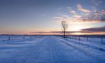 Snowy countryside road