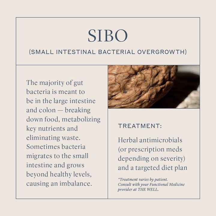All About Sibo And Sifo The Well