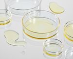 body oil in petri dish