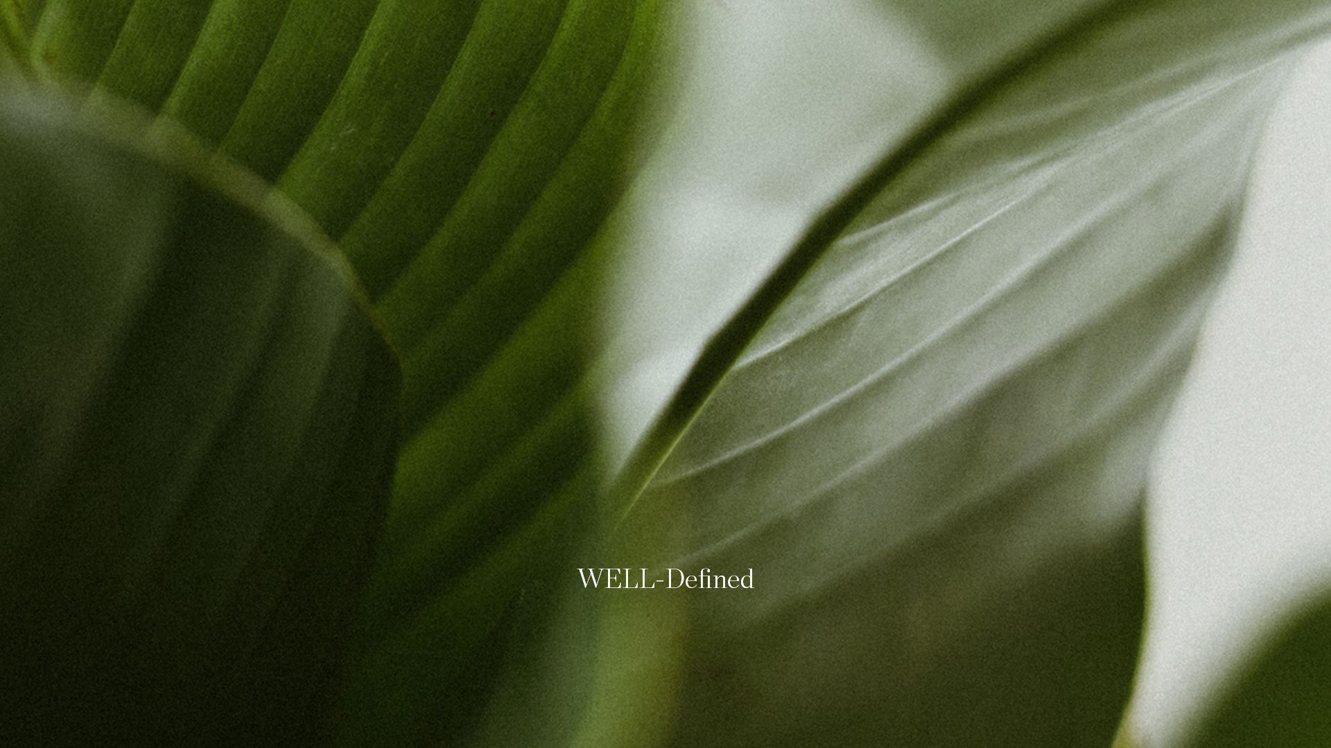 WELL-Defined logo