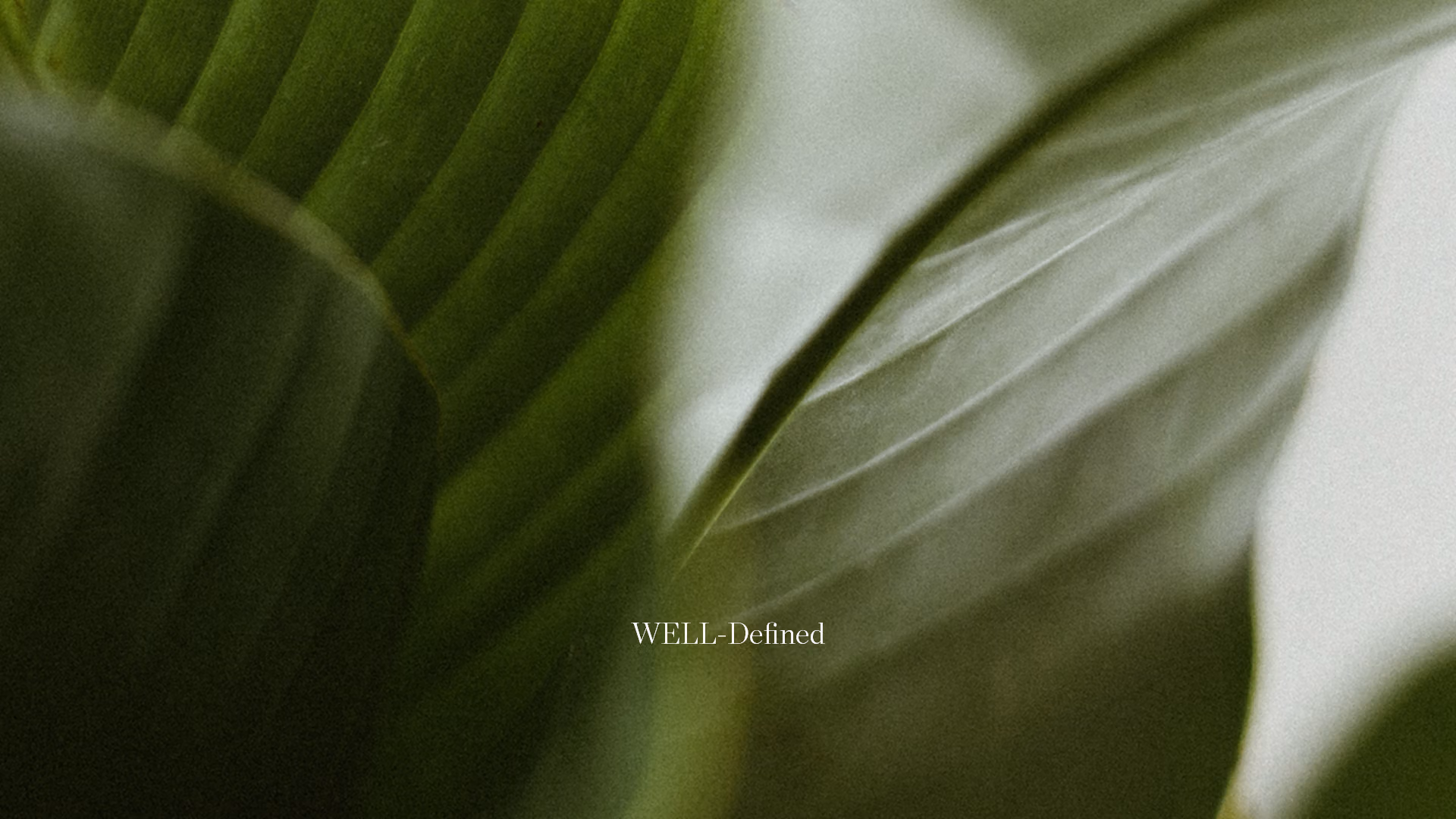 WELL-Defined text on background of leaves