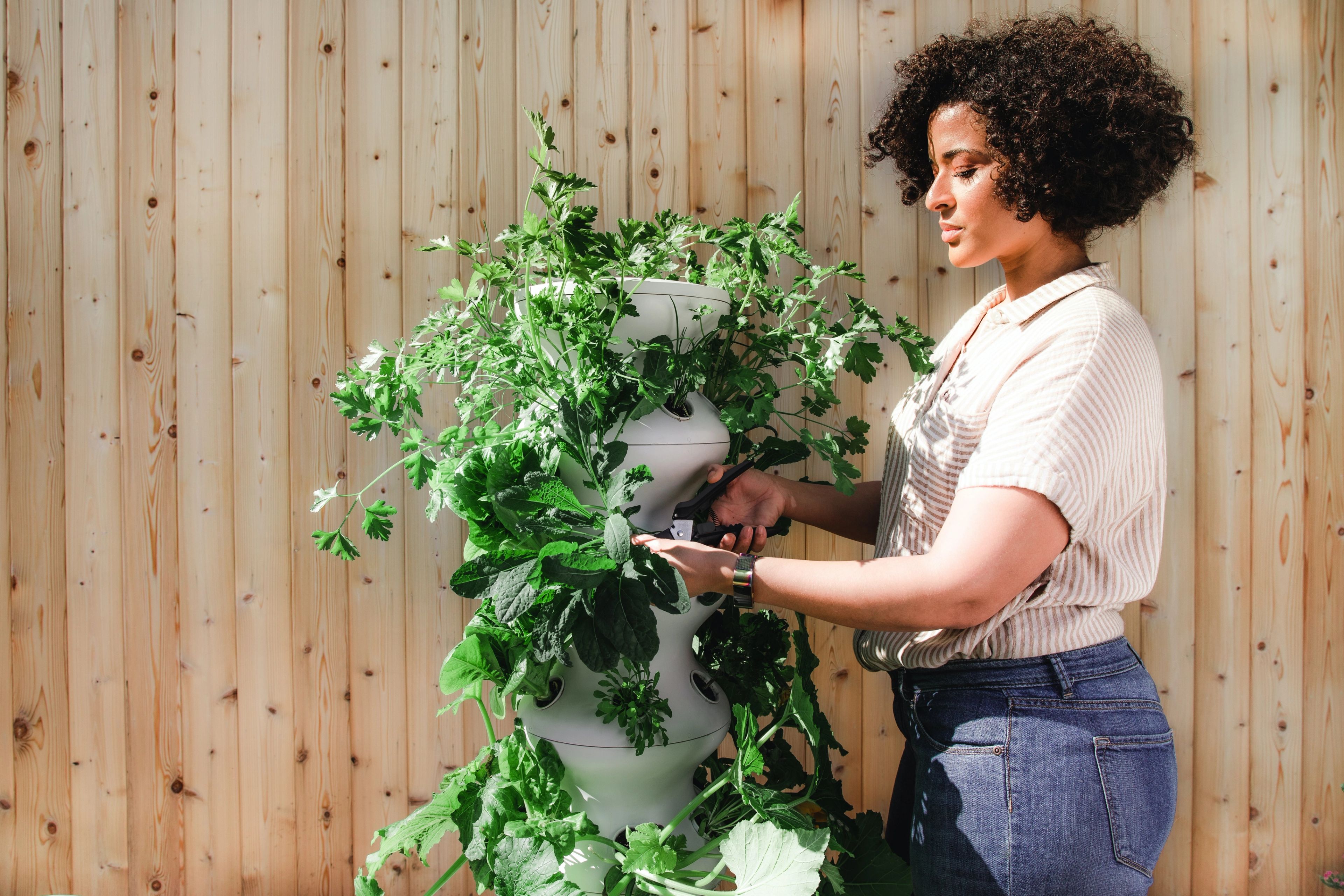 tending to garden