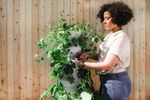 tending to garden