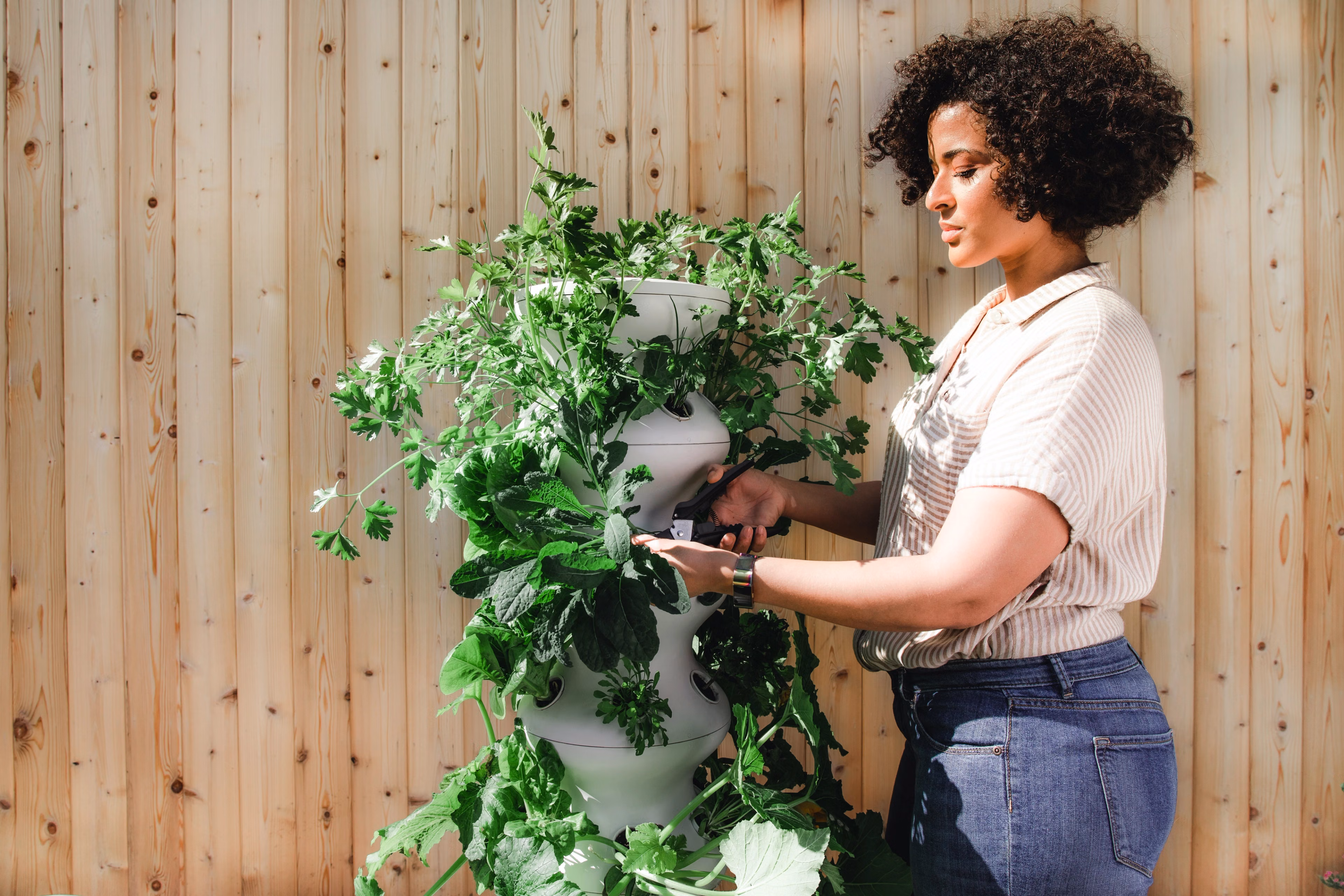 tending to garden