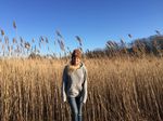 amanda carney health coach