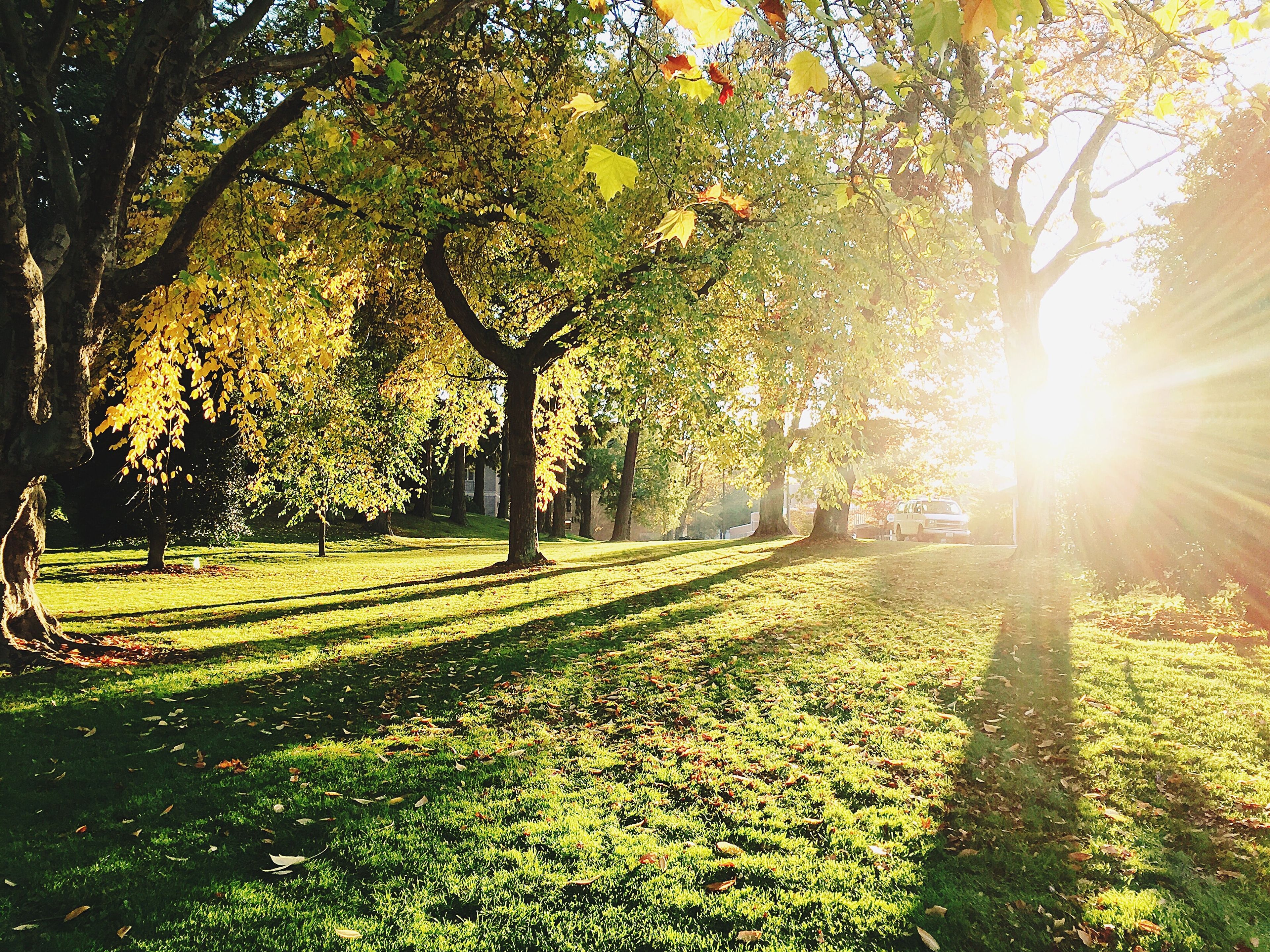 city park