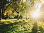 city park
