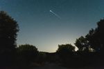 Night sky above trees